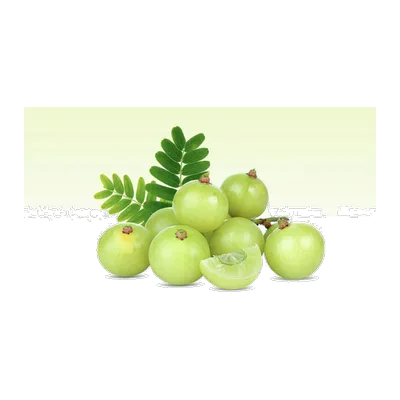 Amla Gooseberry, at Shahi Groceries