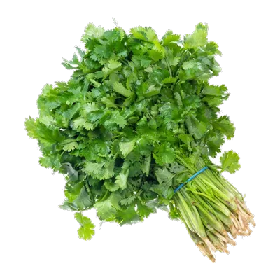 Cilantro Bunch Coriander Leaves, 1 Bunch, at Shahi Groceries