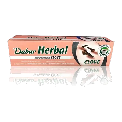 Dabur Tooth Paste Clove (Laung), 100 g, at Shahi Groceries