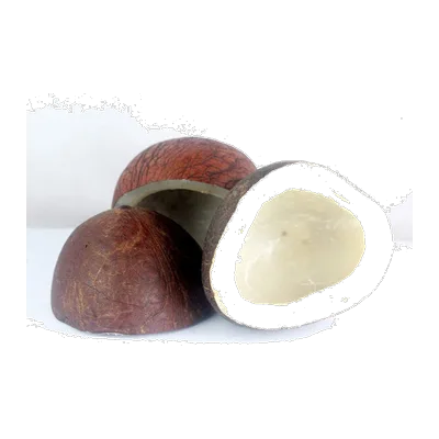Dry Coconut Half, 1 pc, at Shahi Groceries