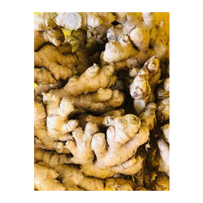 Indian Ginger Root (Adarak), at Shahi Groceries