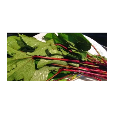 Gongura Leaves, 1 Bunch, at Shahi Groceries