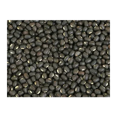 Gujarat Urad Urid Black Sabut Maah Ki Daal Whole, 2 lb, at Shahi Groceries