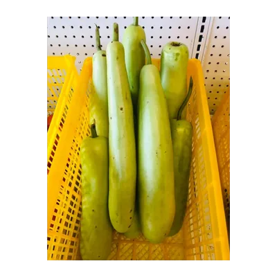 Lauki Long Squash, at Shahi Groceries
