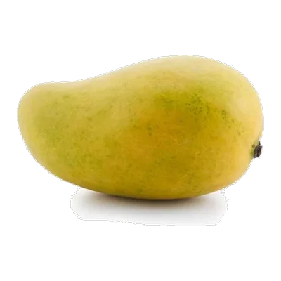 Mexican Kenard Ataulfo Mango, 1 pc, at Shahi Groceries