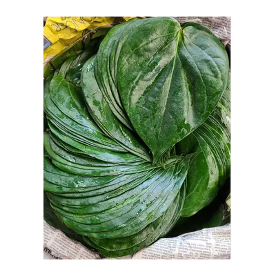 Paan Leaves Calcutta Meetha, 1 Pk, at Shahi Groceries