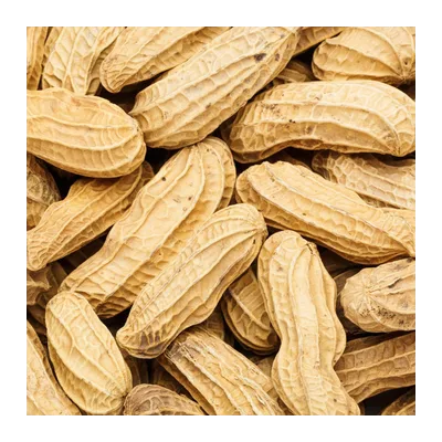 Peanut Moongfali With Shell, at Shahi Groceries