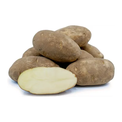 Potato Russet, at Shahi Groceries
