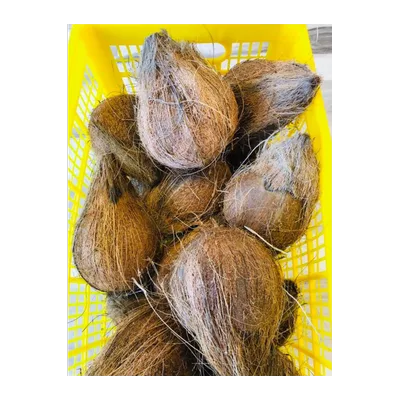 Puja Coconut (Nariyal), 1 pc, at Shahi Groceries