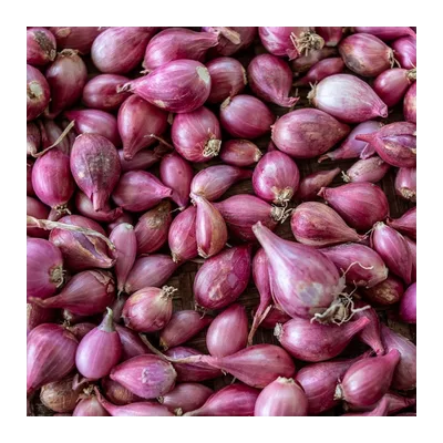 Shallots Baby Madras Onions, at Shahi Groceries