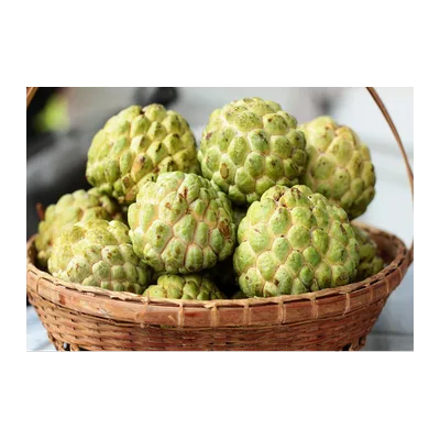 Sitaphal (Custard Apple), 1 pc, at Shahi Groceries