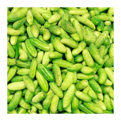 Tindora (Dondakaya), at Shahi Groceries