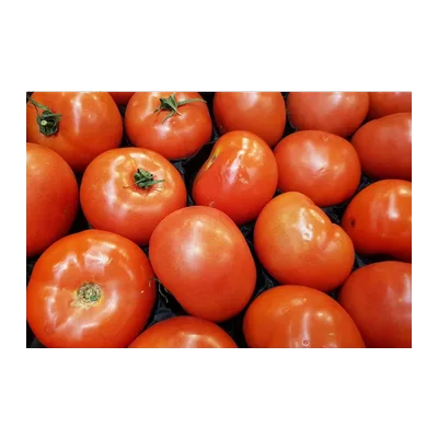 Tomatoes Fresh, at Shahi Groceries