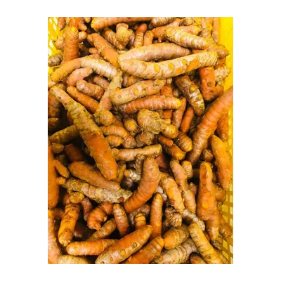 Turmeric Fresh Haldi, at Shahi Groceries